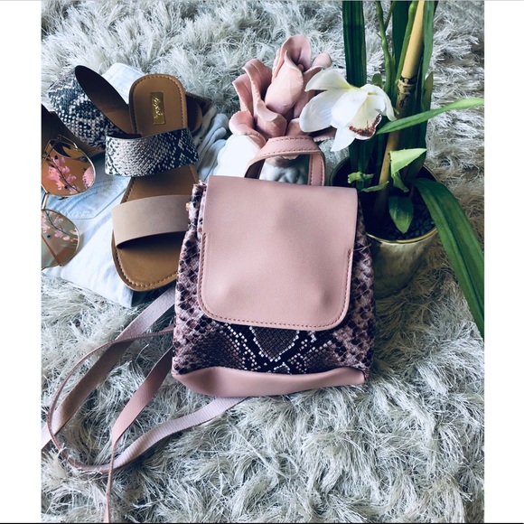 NEW Snake Print Backpack - Picture 5 of 8